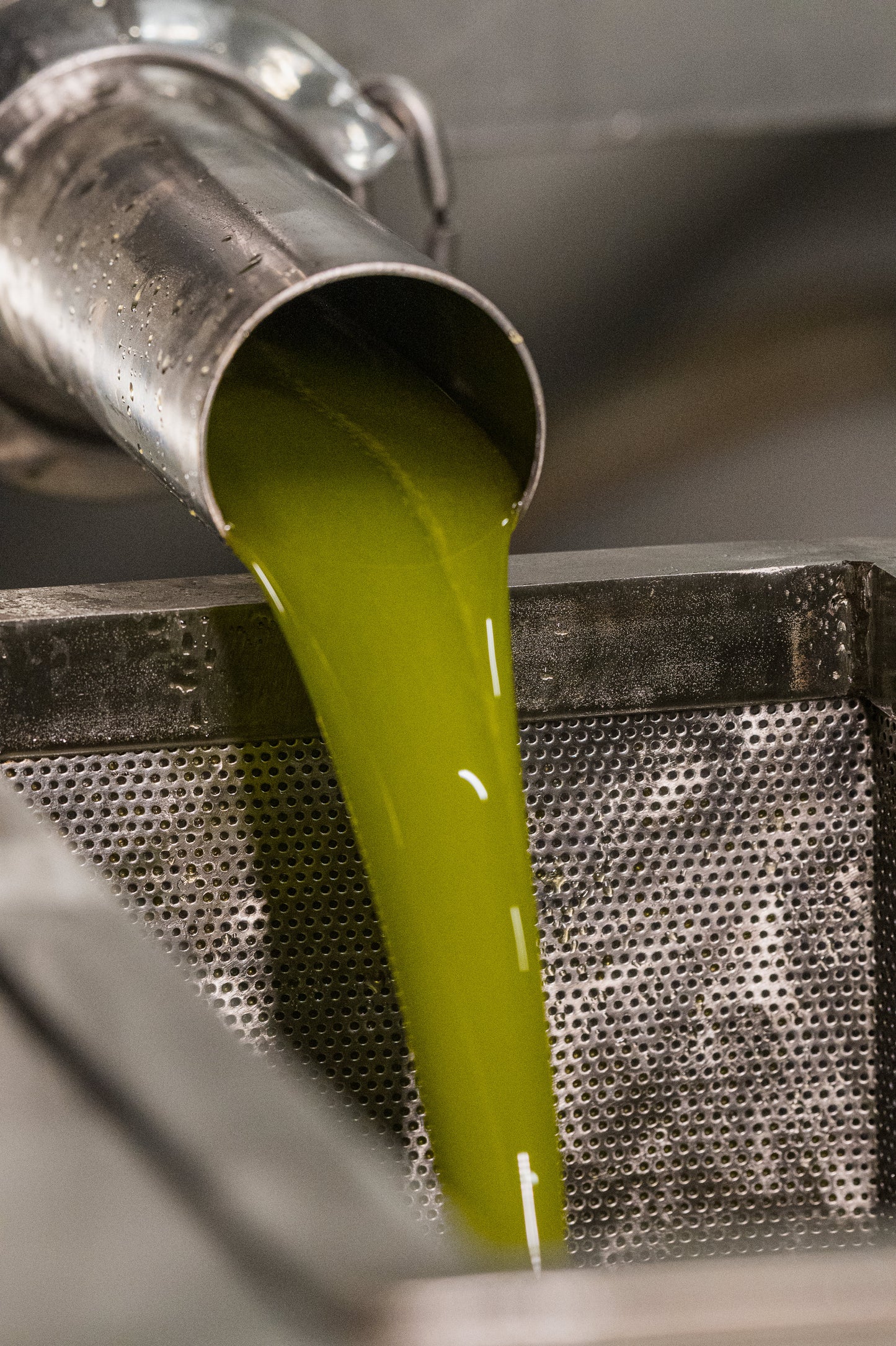 Le Maniot Original Extra Virgin Olive Oil, 500mL